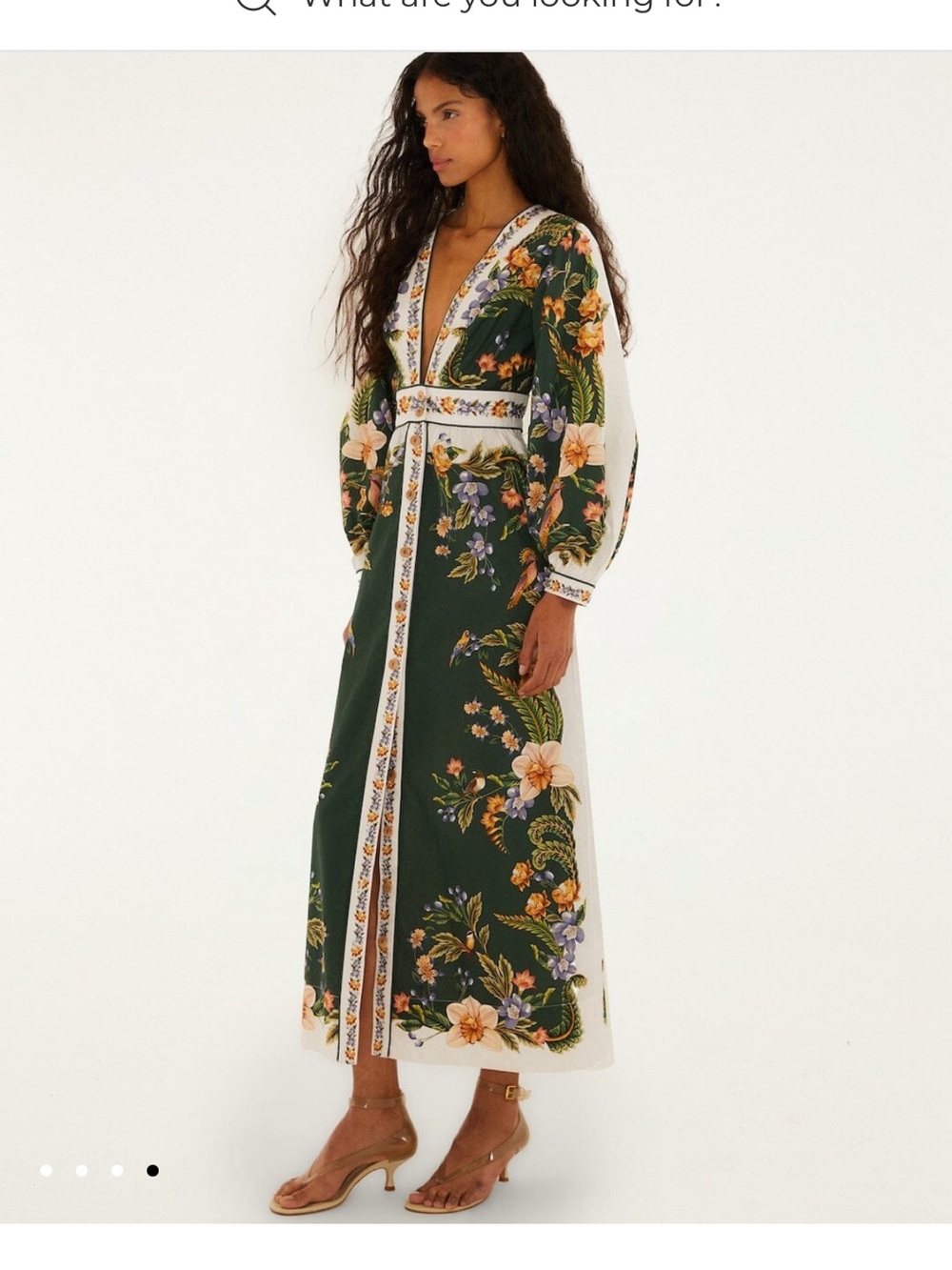 Farm Rio Green Nature V Neck Buttoned Maxi Dress - Picture 4 of 4